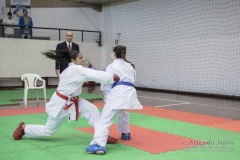 34º Campeonato Brasileiro de Karate-do Goju-ryu IKGA-Brasil