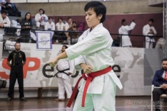 35ª Copa Brasil de Karate-do Goju-ryu IKGA Brasil