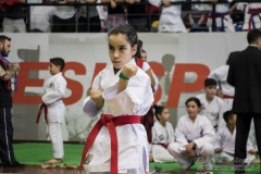 35ª Copa Brasil de Karate-do Goju-ryu IKGA Brasil