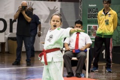 35ª Copa Brasil de Karate-do Goju-ryu IKGA Brasil