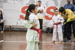 35ª Copa Brasil de Karate-do Goju-ryu IKGA Brasil