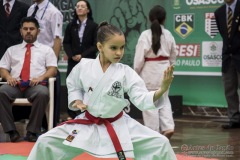 35ª Copa Brasil de Karate-do Goju-ryu IKGA Brasil