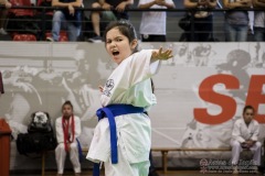 35ª Copa Brasil de Karate-do Goju-ryu IKGA Brasil