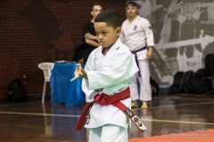 35ª Copa Brasil de Karate-do Goju-ryu IKGA Brasil