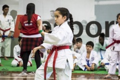 35ª Copa Brasil de Karate-do Goju-ryu IKGA Brasil