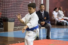 35ª Copa Brasil de Karate-do Goju-ryu IKGA Brasil