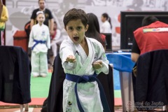 35ª Copa Brasil de Karate-do Goju-ryu IKGA Brasil