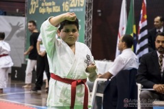 35ª Copa Brasil de Karate-do Goju-ryu IKGA Brasil