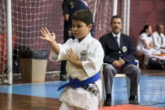 35ª Copa Brasil de Karate-do Goju-ryu IKGA Brasil