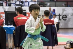 35ª Copa Brasil de Karate-do Goju-ryu IKGA Brasil