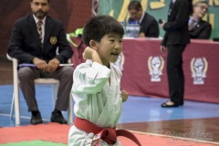 35ª Copa Brasil de Karate-do Goju-ryu IKGA Brasil