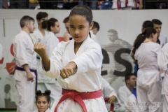 35ª Copa Brasil de Karate-do Goju-ryu IKGA Brasil