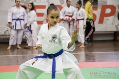 35ª Copa Brasil de Karate-do Goju-ryu IKGA Brasil