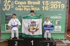 35ª Copa Brasil de Karate-do Goju-ryu IKGA Brasil