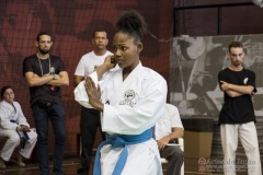 35ª Copa Brasil de Karate-do Goju-ryu IKGA Brasil