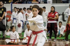 35ª Copa Brasil de Karate-do Goju-ryu IKGA Brasil