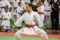 35ª Copa Brasil de Karate-do Goju-ryu IKGA Brasil