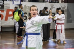 35ª Copa Brasil de Karate-do Goju-ryu IKGA Brasil