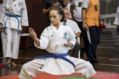 35ª Copa Brasil de Karate-do Goju-ryu IKGA Brasil