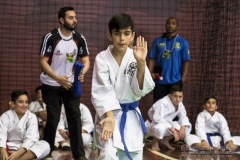 35ª Copa Brasil de Karate-do Goju-ryu IKGA Brasil