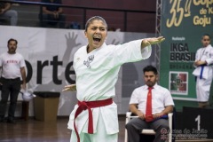 35ª Copa Brasil de Karate-do Goju-ryu IKGA Brasil