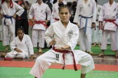 35ª Copa Brasil de Karate-do Goju-ryu IKGA Brasil