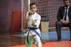 35ª Copa Brasil de Karate-do Goju-ryu IKGA Brasil