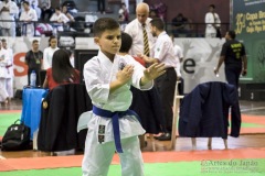 35ª Copa Brasil de Karate-do Goju-ryu IKGA Brasil