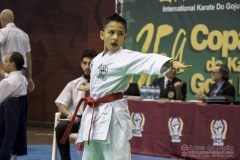 35ª Copa Brasil de Karate-do Goju-ryu IKGA Brasil