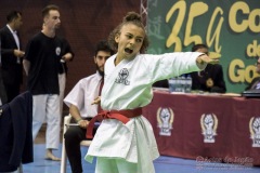 35ª Copa Brasil de Karate-do Goju-ryu IKGA Brasil