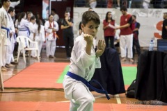 35ª Copa Brasil de Karate-do Goju-ryu IKGA Brasil