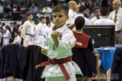 35ª Copa Brasil de Karate-do Goju-ryu IKGA Brasil