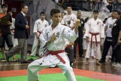 35ª Copa Brasil de Karate-do Goju-ryu IKGA Brasil