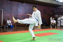 35ª Copa Brasil de Karate-do Goju-ryu IKGA Brasil