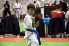 35ª Copa Brasil de Karate-do Goju-ryu IKGA Brasil