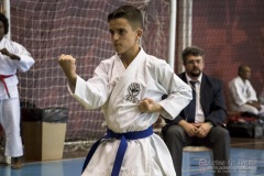 35ª Copa Brasil de Karate-do Goju-ryu IKGA Brasil