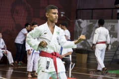 35ª Copa Brasil de Karate-do Goju-ryu IKGA Brasil