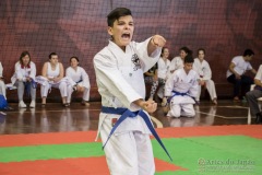 35ª Copa Brasil de Karate-do Goju-ryu IKGA Brasil