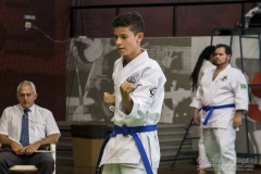 35ª Copa Brasil de Karate-do Goju-ryu IKGA Brasil