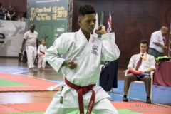 35ª Copa Brasil de Karate-do Goju-ryu IKGA Brasil