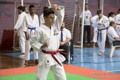 35ª Copa Brasil de Karate-do Goju-ryu IKGA Brasil