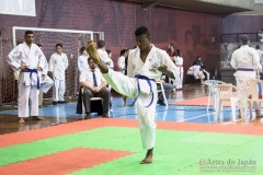 35ª Copa Brasil de Karate-do Goju-ryu IKGA Brasil