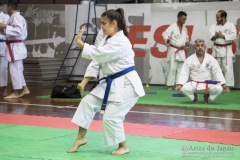 35ª Copa Brasil de Karate-do Goju-ryu IKGA Brasil