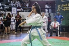 35ª Copa Brasil de Karate-do Goju-ryu IKGA Brasil