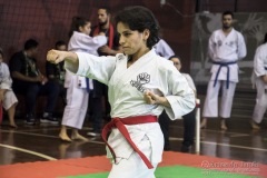 35ª Copa Brasil de Karate-do Goju-ryu IKGA Brasil