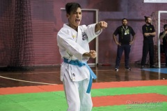 35ª Copa Brasil de Karate-do Goju-ryu IKGA Brasil