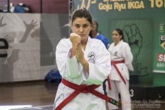 35ª Copa Brasil de Karate-do Goju-ryu IKGA Brasil