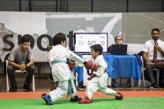 35ª Copa Brasil de Karate-do Goju-ryu IKGA Brasil