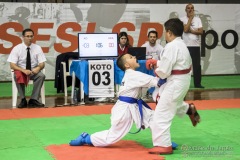 35ª Copa Brasil de Karate-do Goju-ryu IKGA Brasil