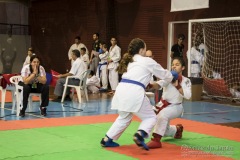 35ª Copa Brasil de Karate-do Goju-ryu IKGA Brasil